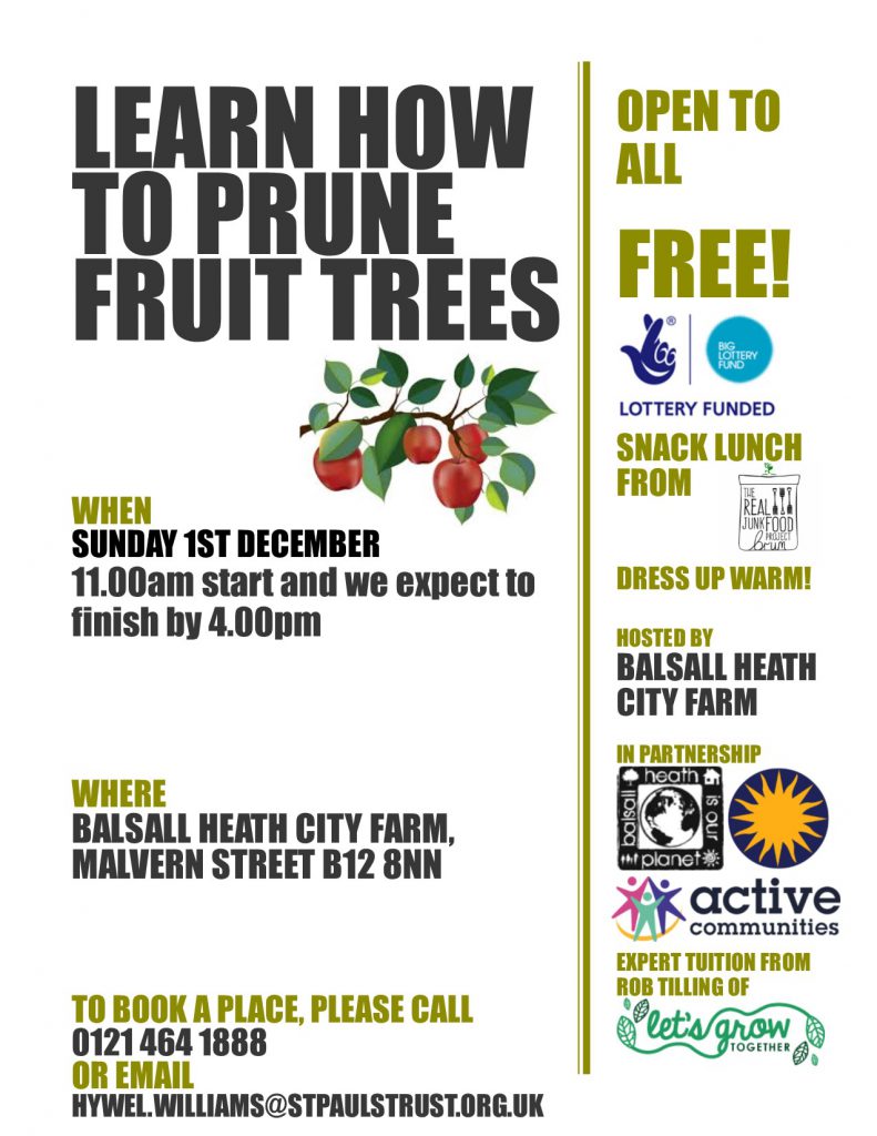 Tree Pruning at the Farm Poster on the 1st of December from 11am